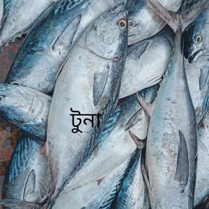 টুনা মাছ